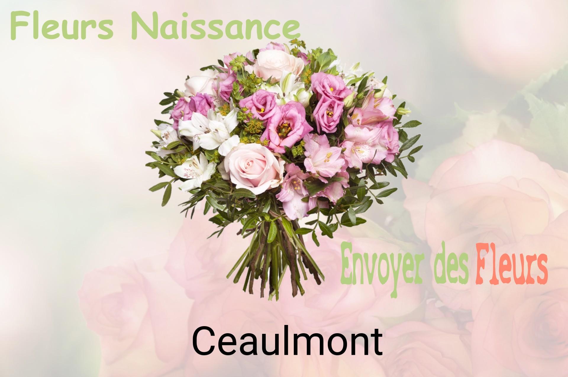 Bouquet de fleurs de naissance livré à Ceaulmont