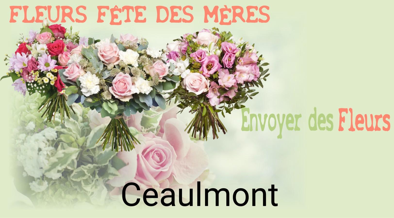 Bouquet de Fête des Mères livré à Ceaulmont